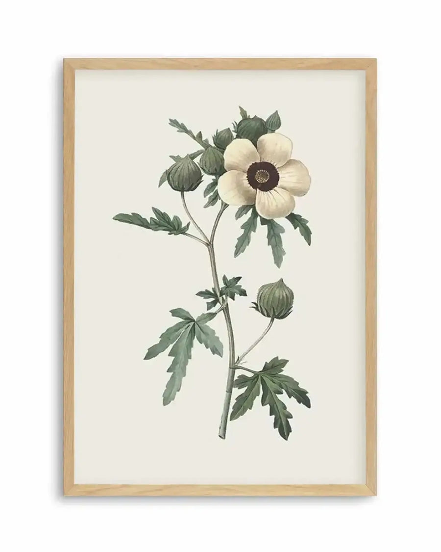 Botanica VII Art Print from Olive et Oriel where you can shop wallpaper and artworks online