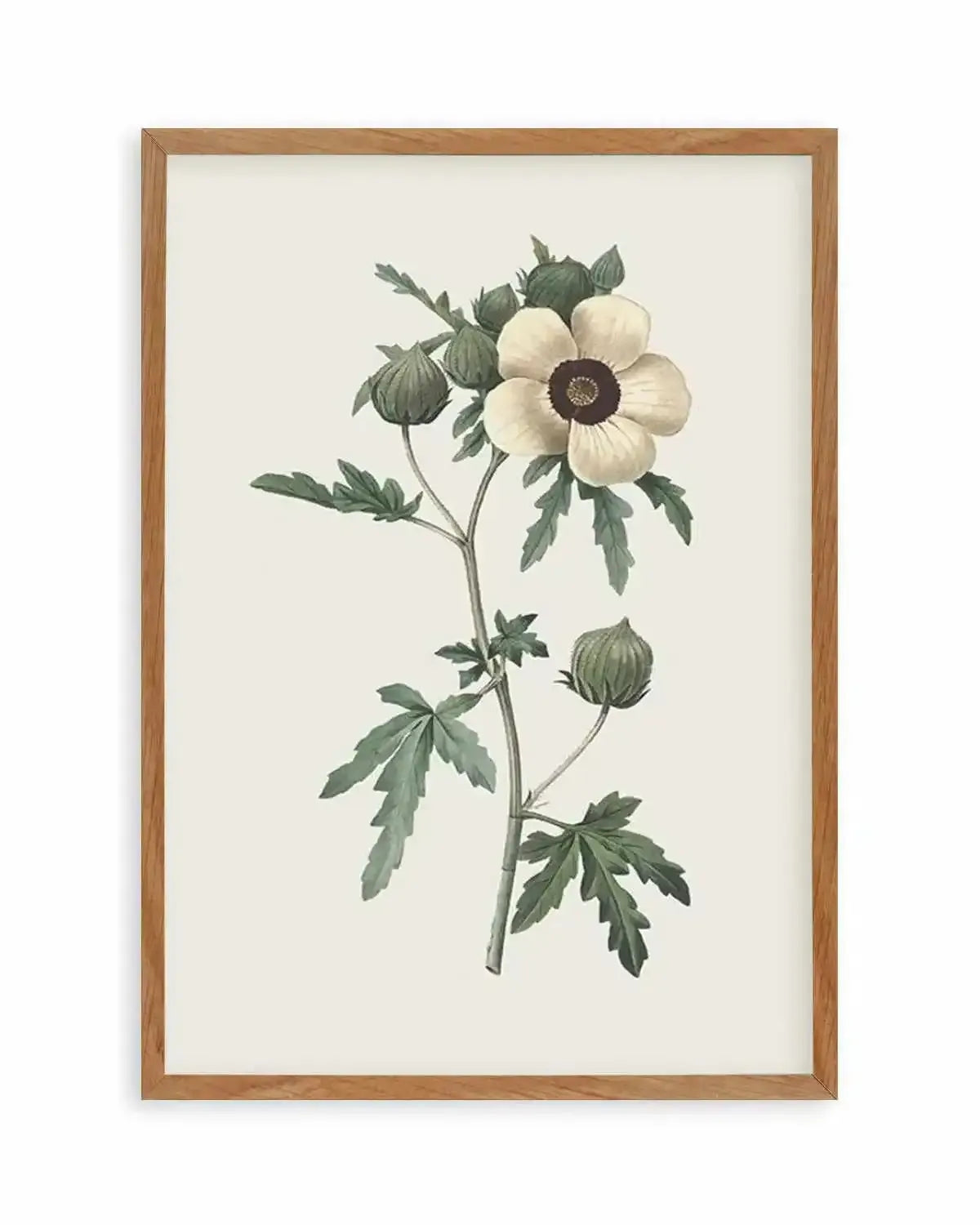 Botanica VII Art Print from Olive et Oriel where you can shop wallpaper and artworks online