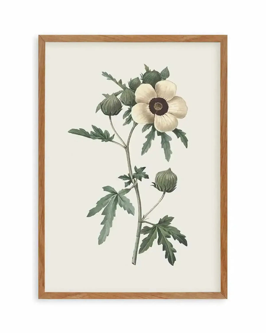 Botanica VII Art Print from Olive et Oriel where you can shop wallpaper and artworks online