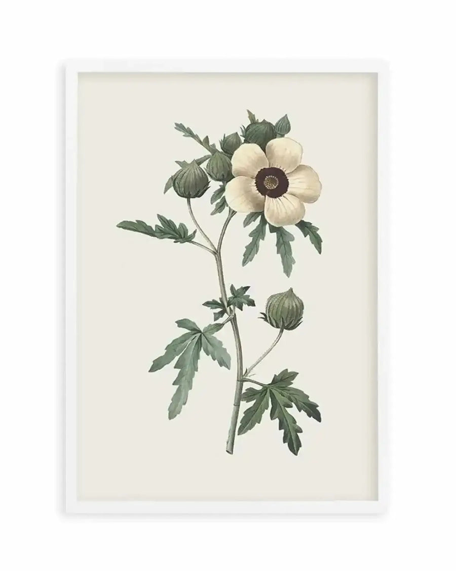 Botanica VII Art Print from Olive et Oriel where you can shop wallpaper and artworks online