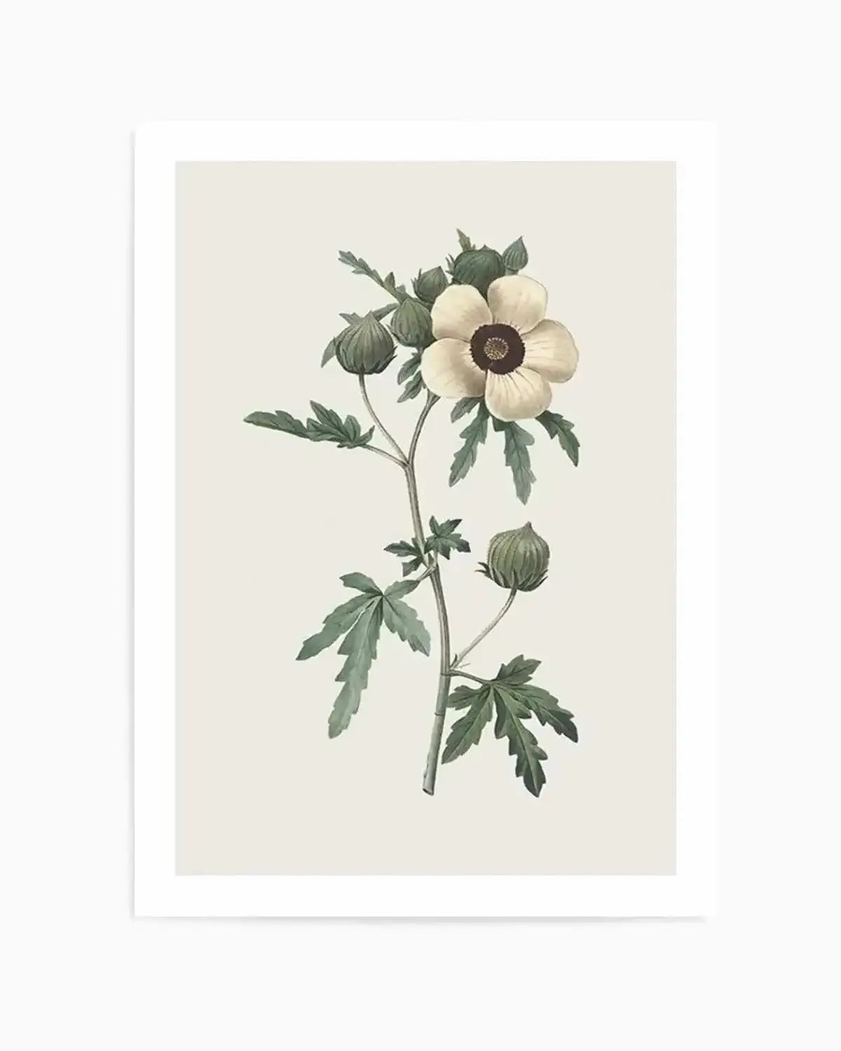 Botanica VII Art Print from Olive et Oriel where you can shop wallpaper and artworks online