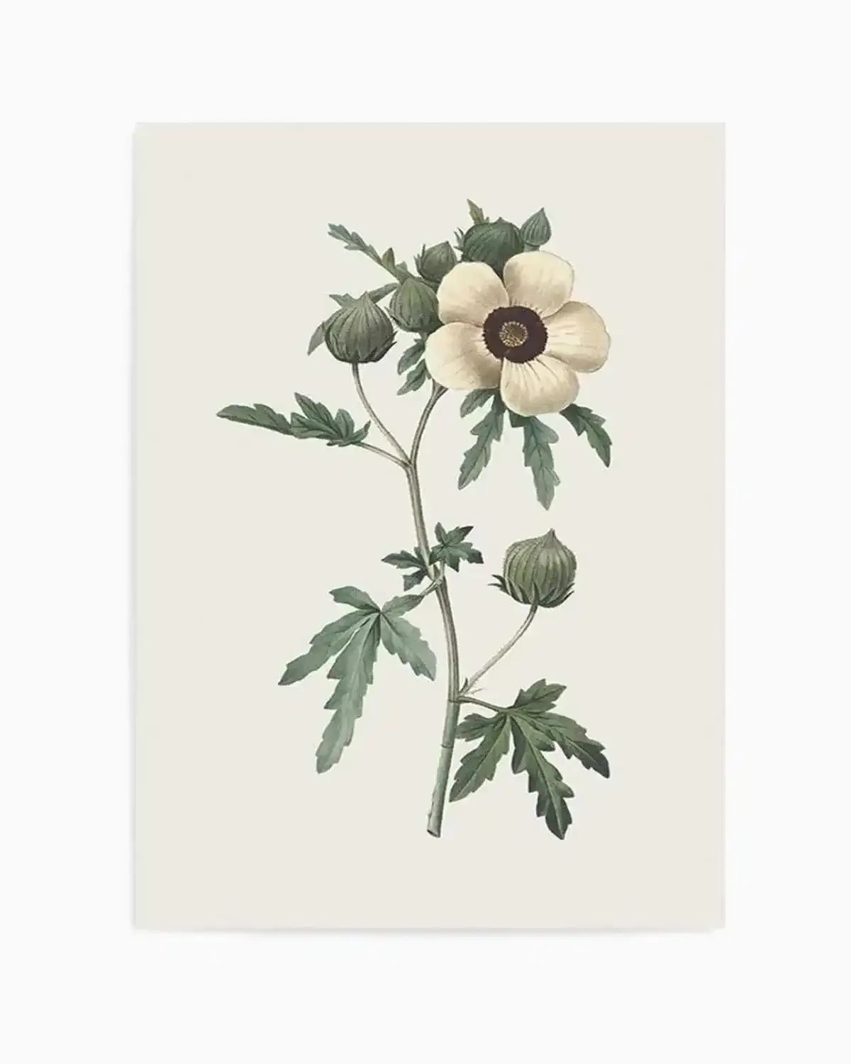 Botanica VII Art Print from Olive et Oriel where you can shop wallpaper and artworks online