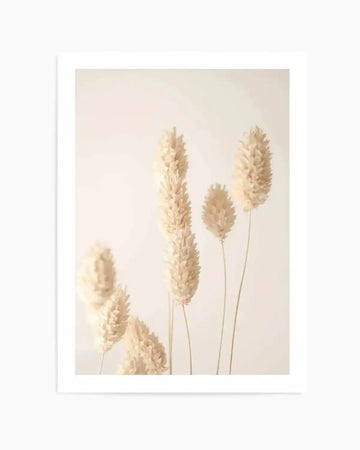 "Photography art print featuring several dried bunny tail grass stems with fluffy, elongated seed heads in a soft, creamy beige against a light, warm off-white background. The composition shows varying heights and slight blur, creating a gentle, minimalist aesthetic."