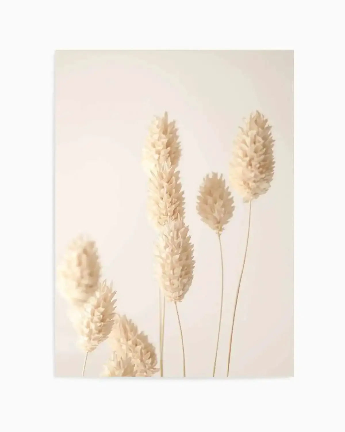 Botanique D'or I Art Print from Olive et Oriel where you can shop wallpaper and artworks online