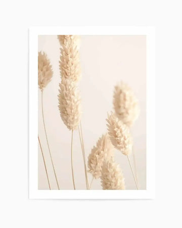 Photography art print featuring several dried bunny tail grass stems with fluffy, elongated seed heads in a soft, muted beige against a light cream background. The composition has a shallow depth of field, with some stems in sharp focus and others softly blurred, creating a gentle, airy mood.