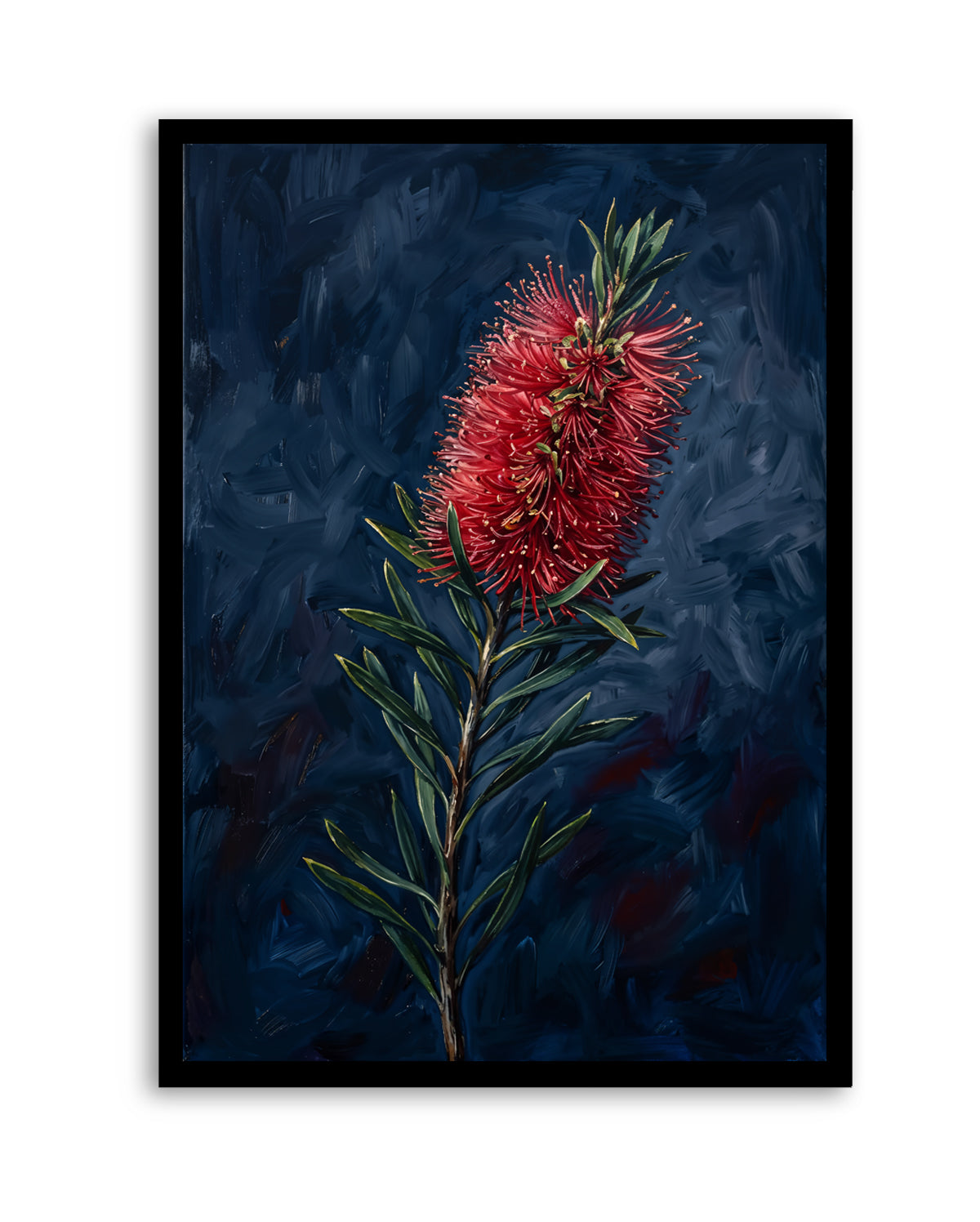 Bottlebrush On Navy Botanicals Study | Art Print