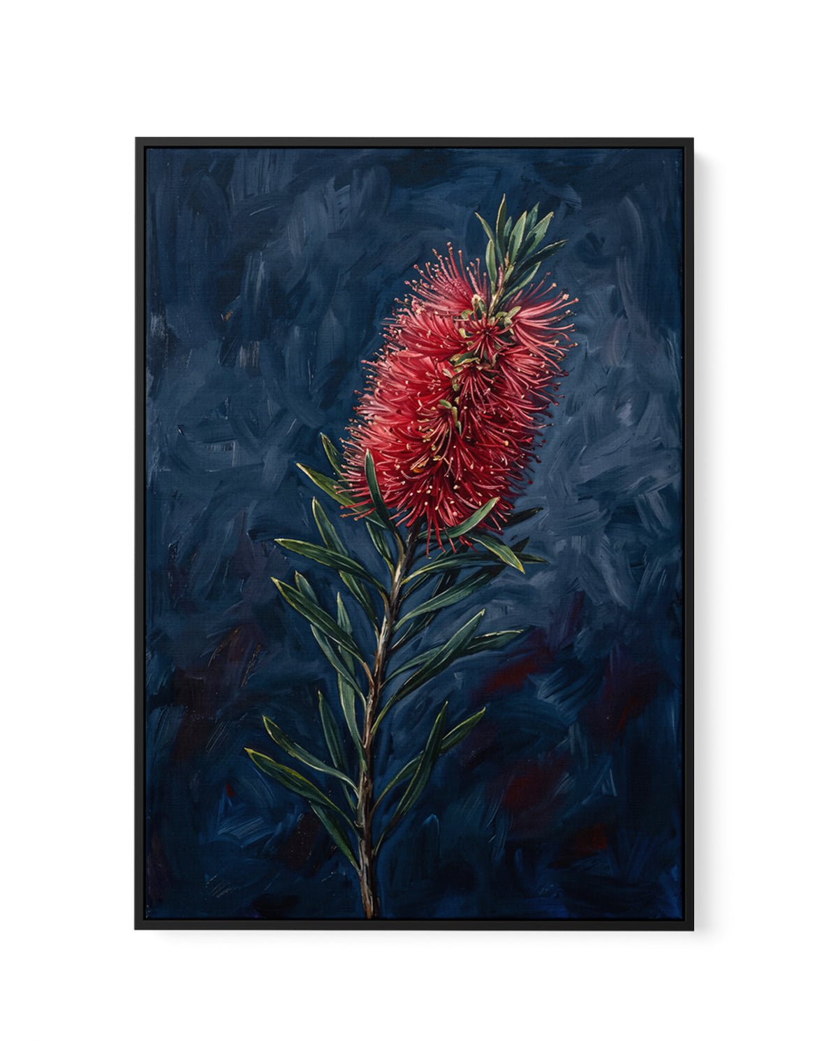 Bottlebrush On Navy Botanicals Study | Framed Canvas Art Print