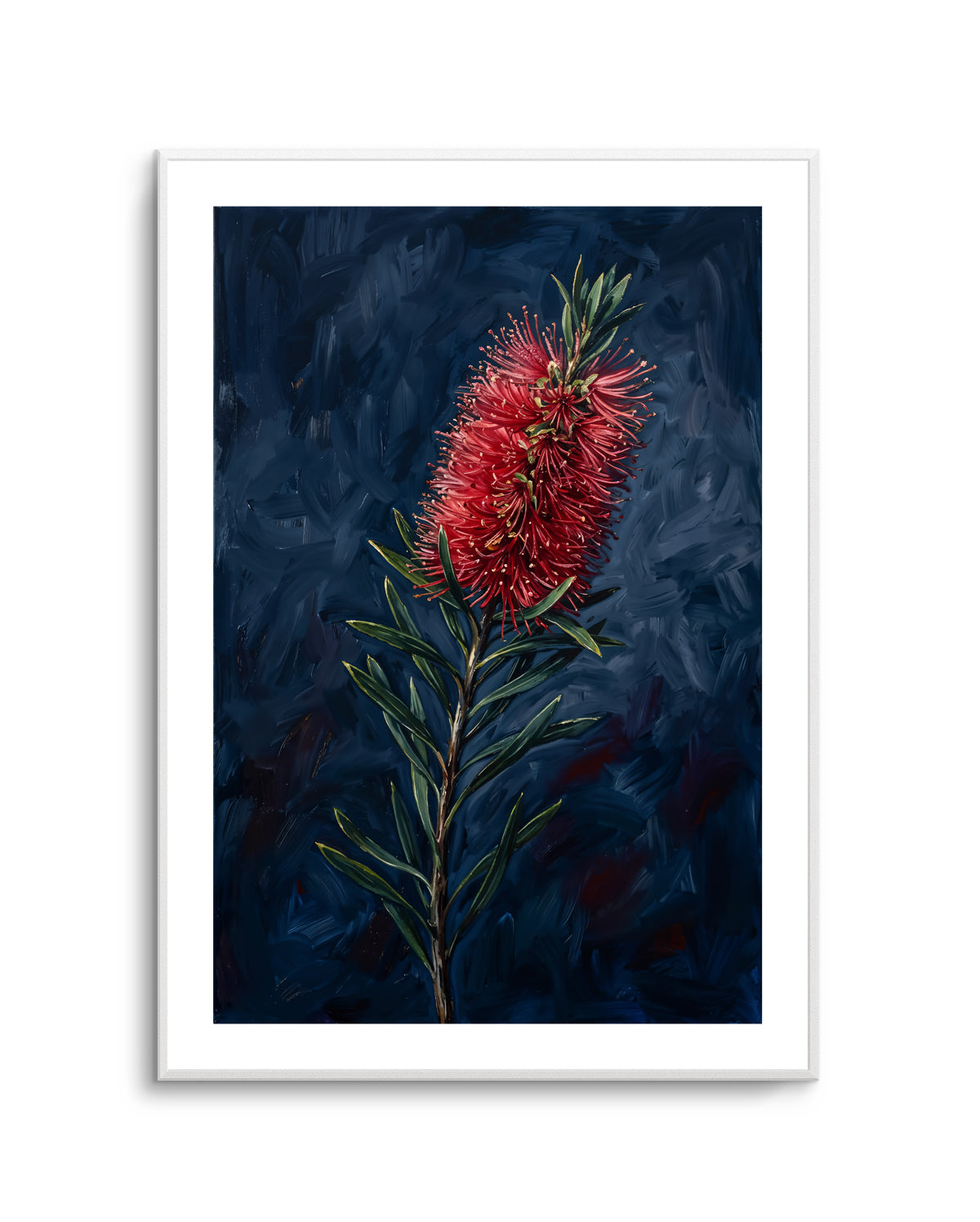 Bottlebrush On Navy Botanicals Study | Art Print