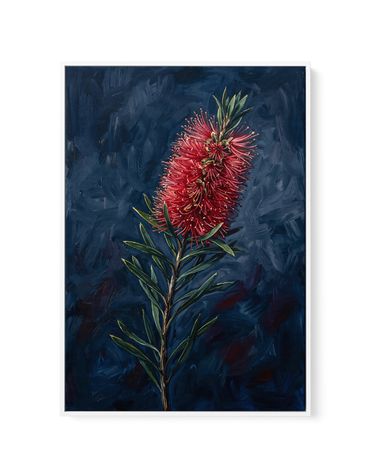 Bottlebrush On Navy Botanicals Study | Framed Canvas Art Print