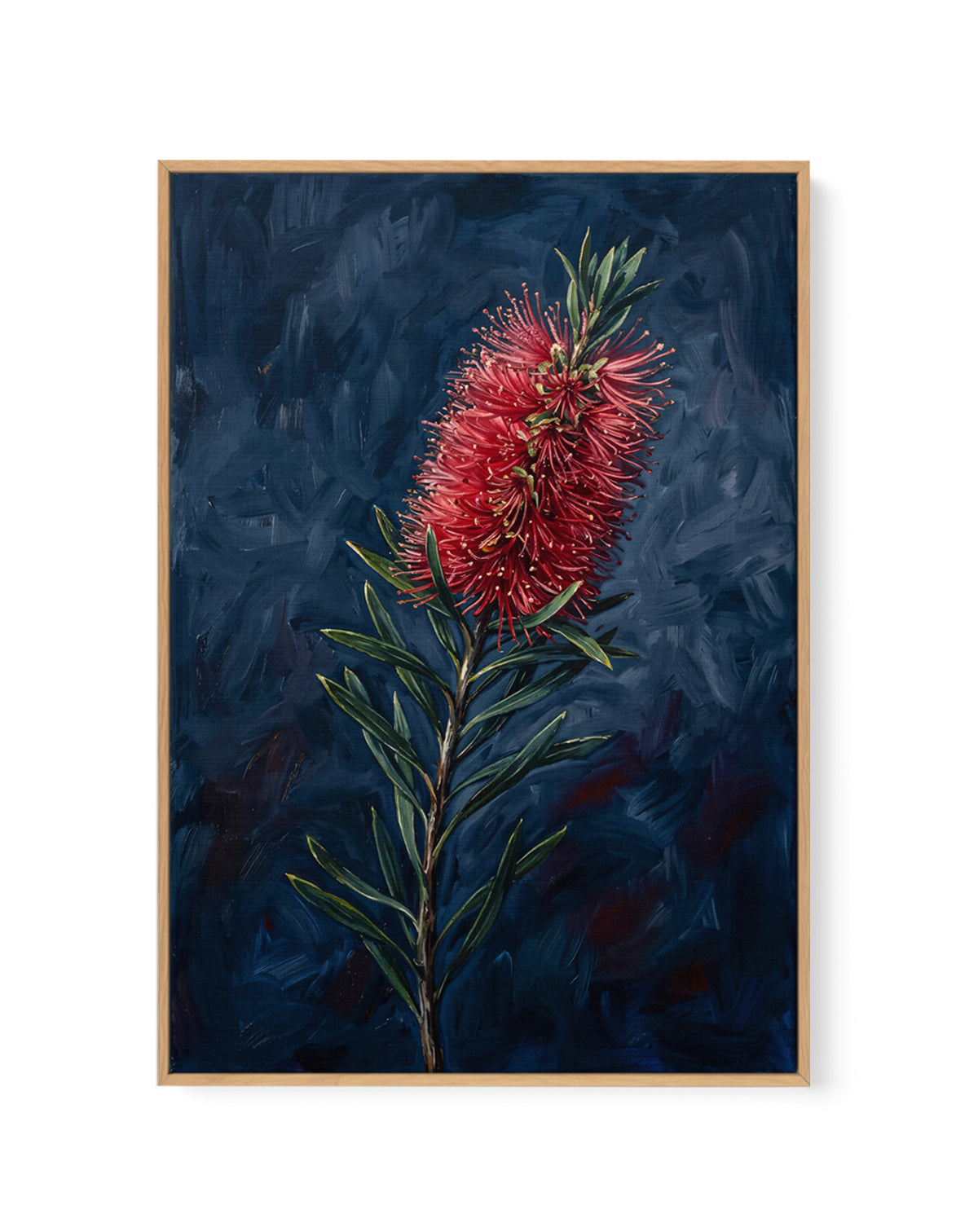 Bottlebrush On Navy Botanicals Study | Framed Canvas Art Print