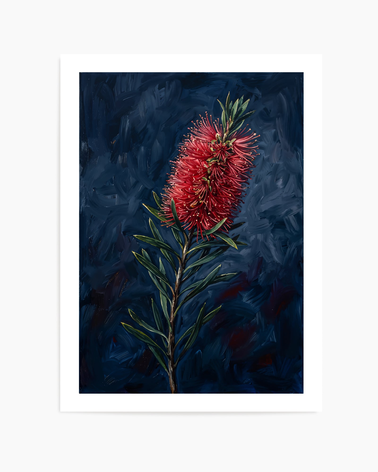 Bottlebrush On Navy Botanicals Study | Art Print