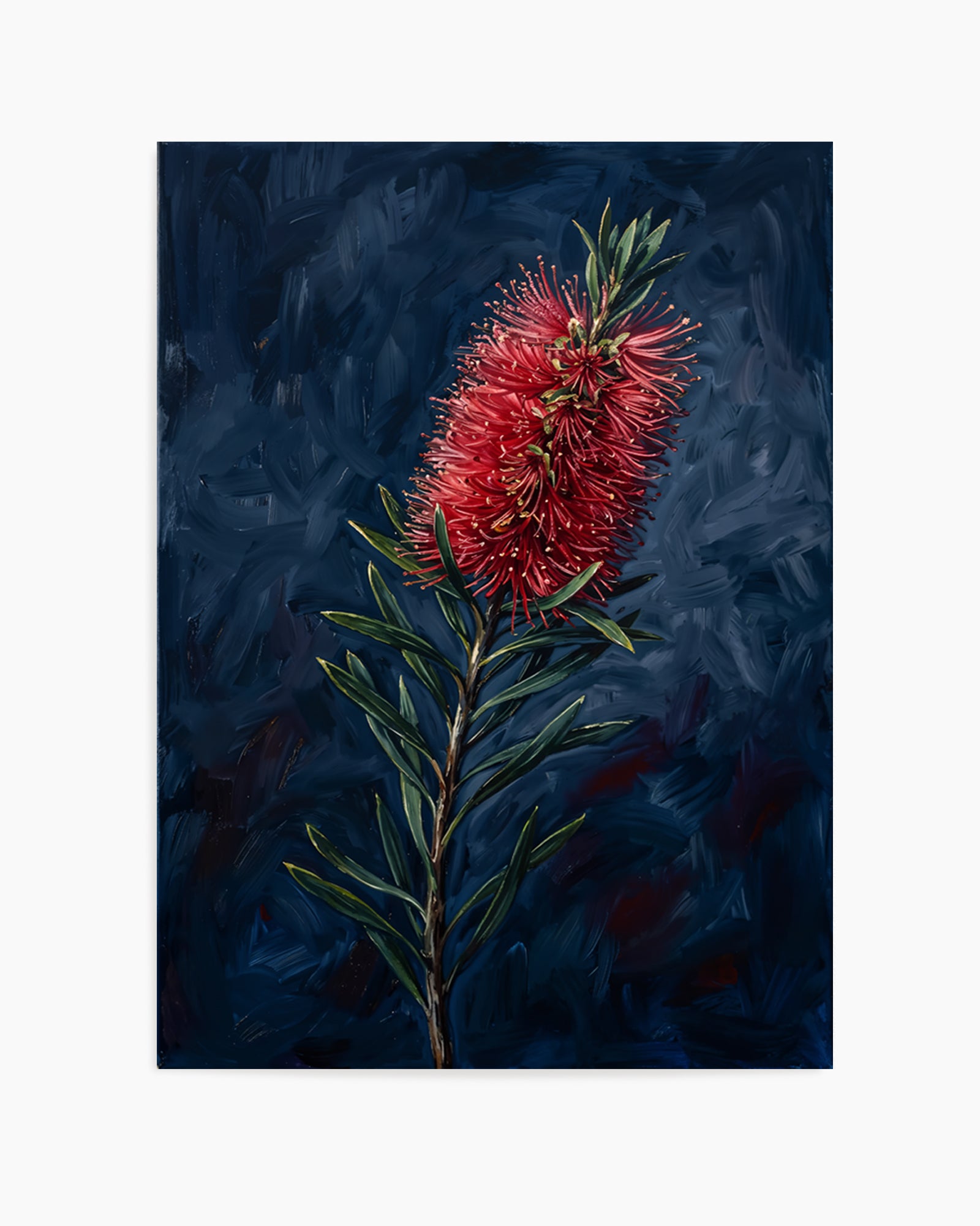 Bottlebrush On Navy Botanicals Study | Art Print