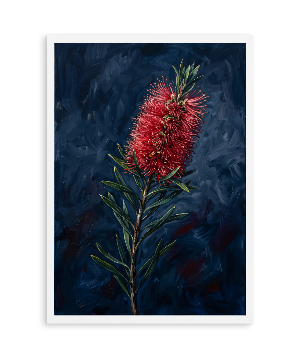 Bottlebrush On Navy Botanicals Study | Art Print