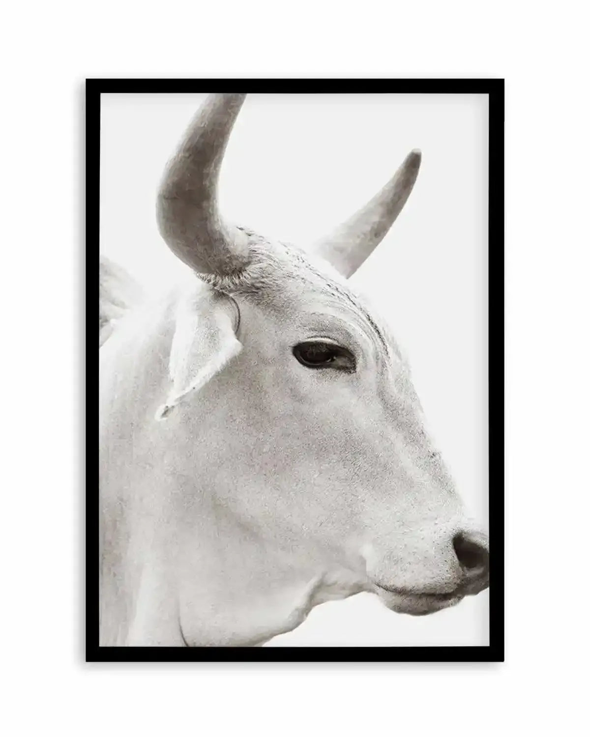 Bovine Art Print from Olive et Oriel where you can shop wallpaper and artworks online