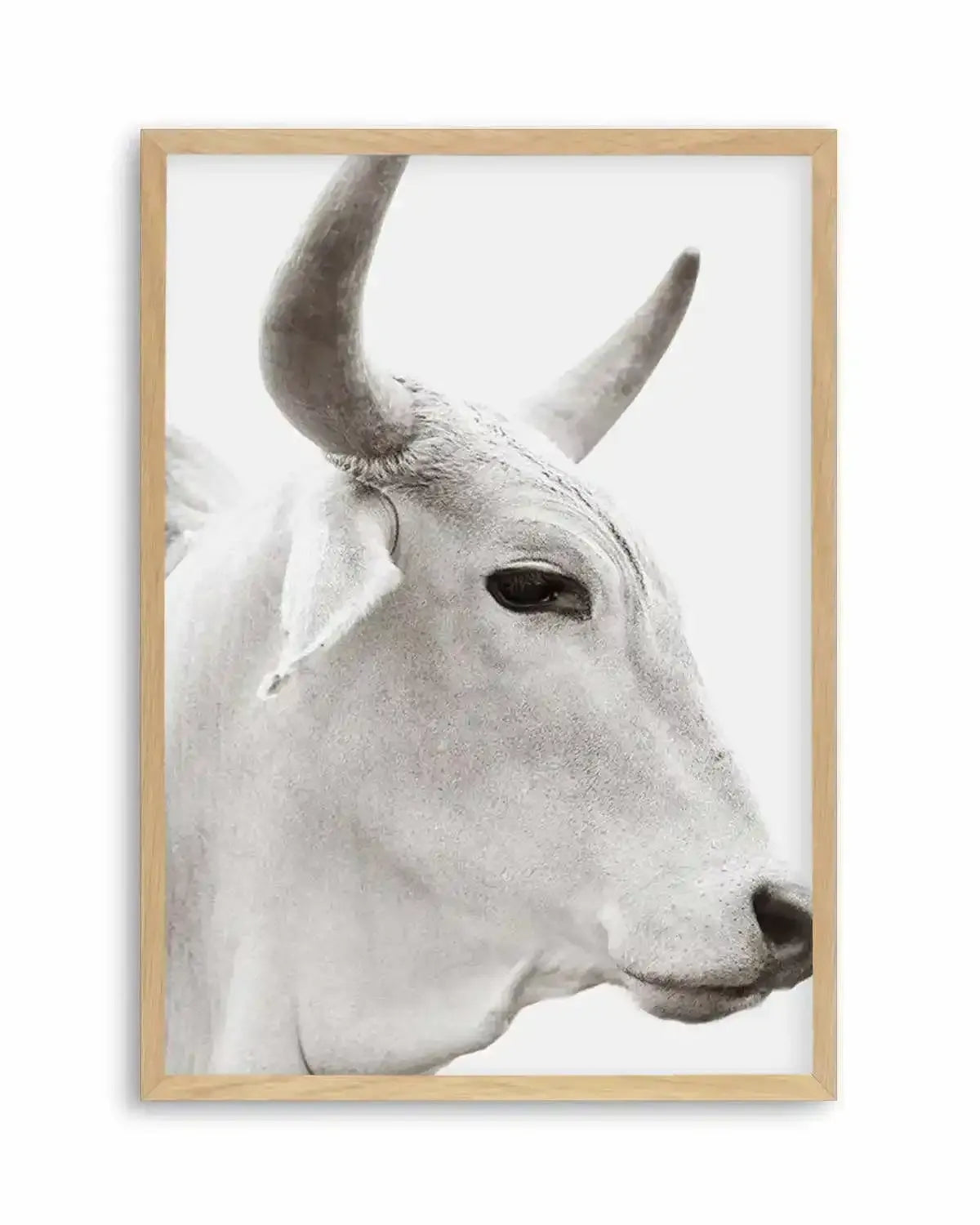 Bovine Art Print from Olive et Oriel where you can shop wallpaper and artworks online