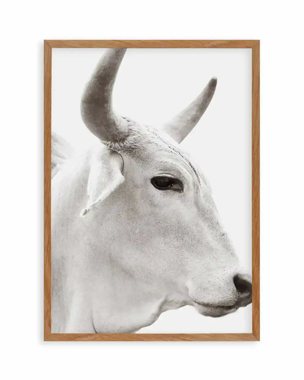 Bovine Art Print from Olive et Oriel where you can shop wallpaper and artworks online