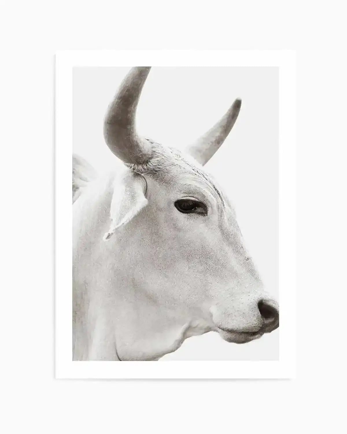 Bovine Art Print from Olive et Oriel where you can shop wallpaper and artworks online