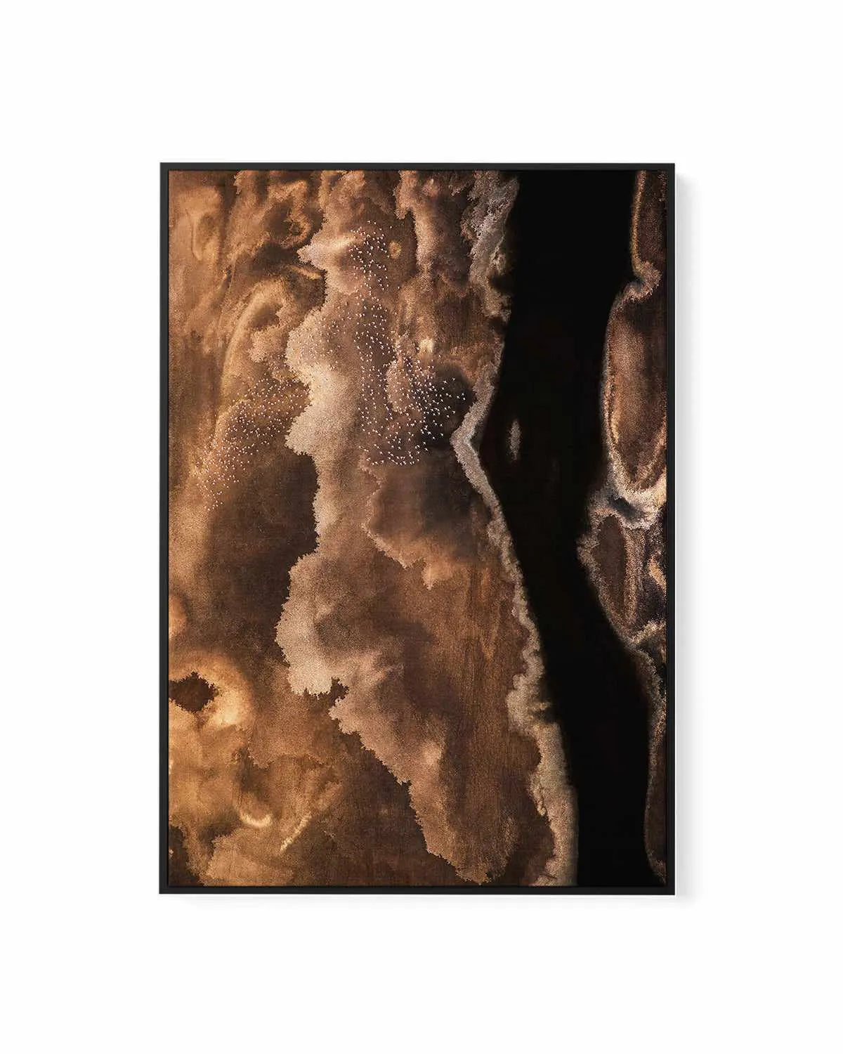Bronzed Earth II by Phillip Chang | Framed Canvas Art Print from Olive et Oriel where you can shop wallpaper and artworks online