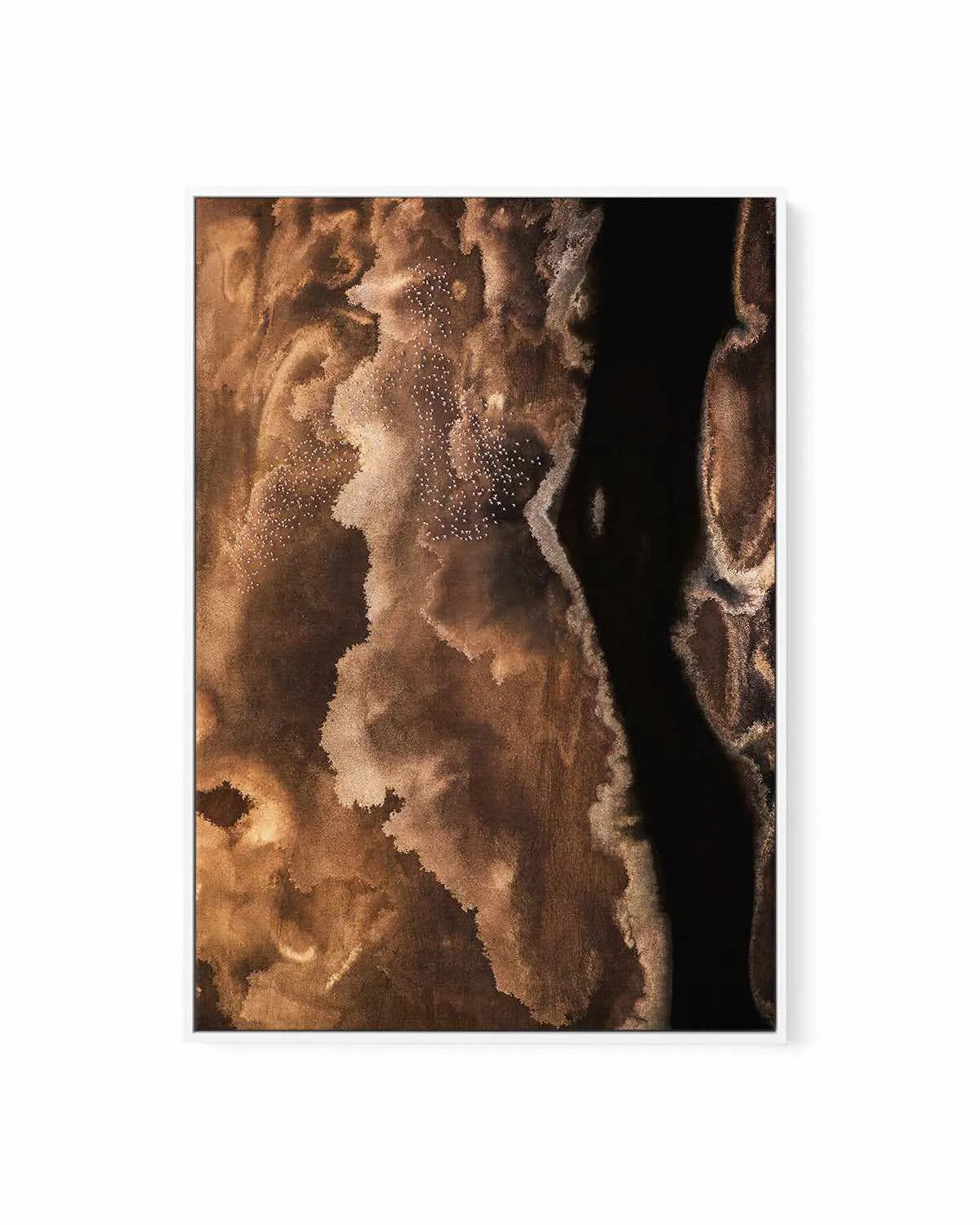 Bronzed Earth II by Phillip Chang | Framed Canvas Art Print from Olive et Oriel where you can shop wallpaper and artworks online