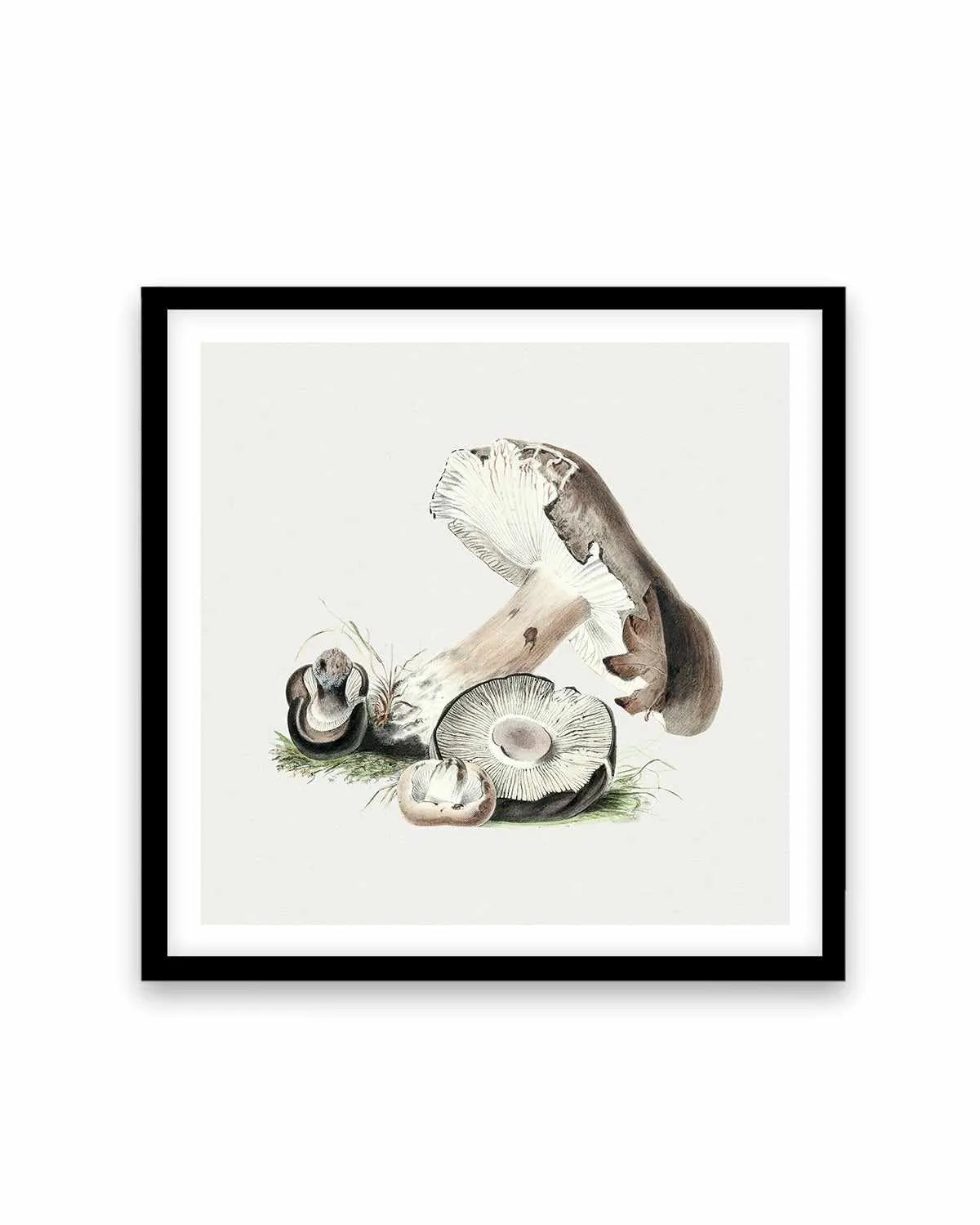Brown Mushroom Vintage Illustration Art Print from Olive et Oriel where you can shop wallpaper and artworks online