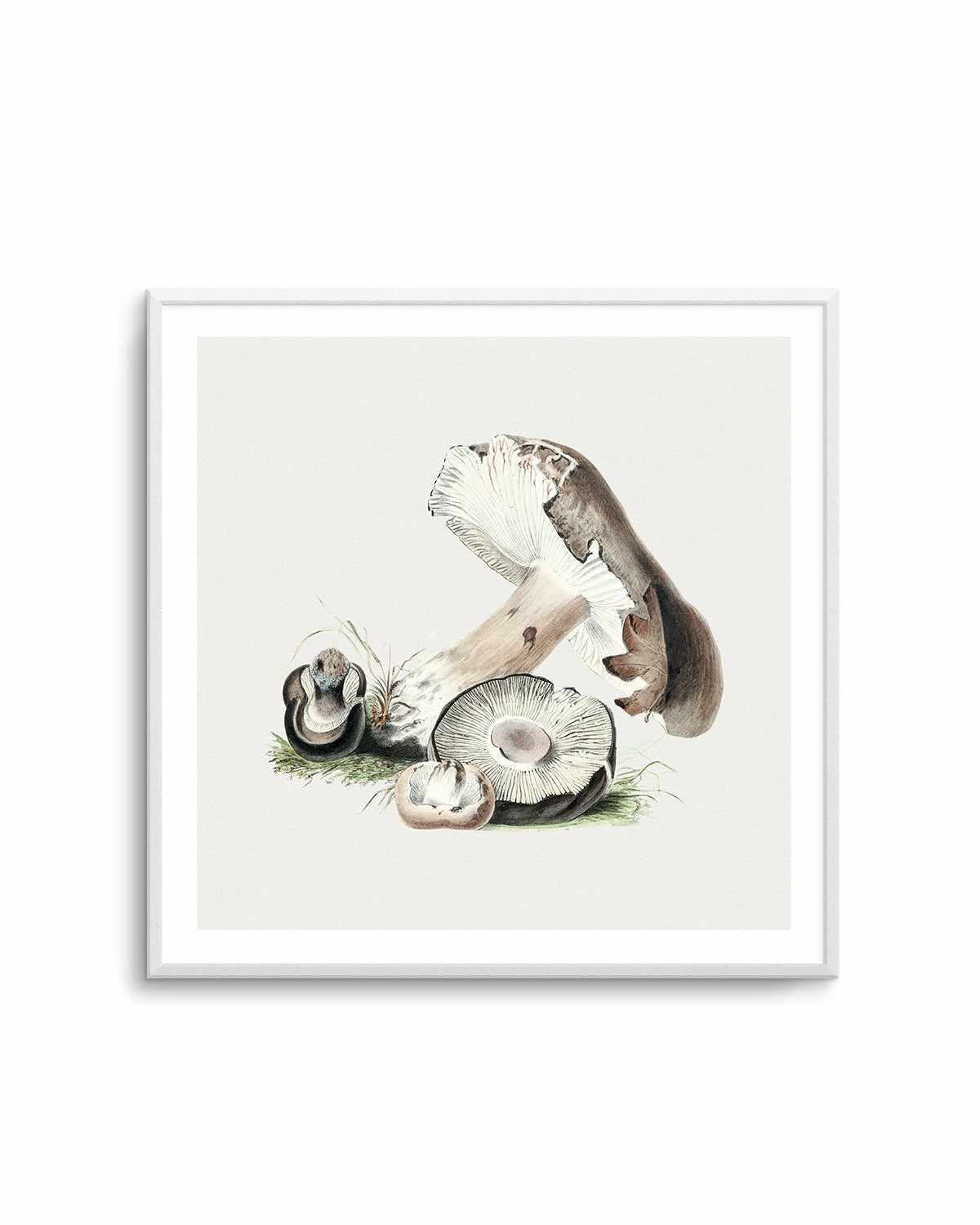 Brown Mushroom Vintage Illustration Art Print