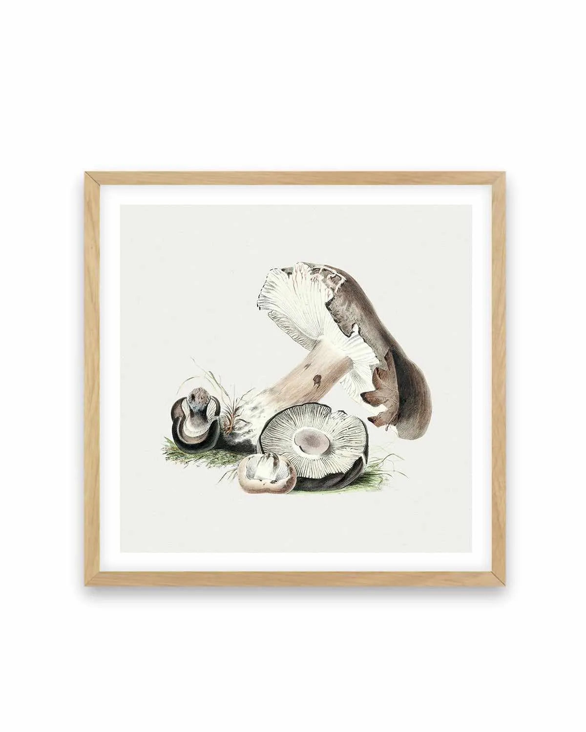 Brown Mushroom Vintage Illustration Art Print from Olive et Oriel where you can shop wallpaper and artworks online
