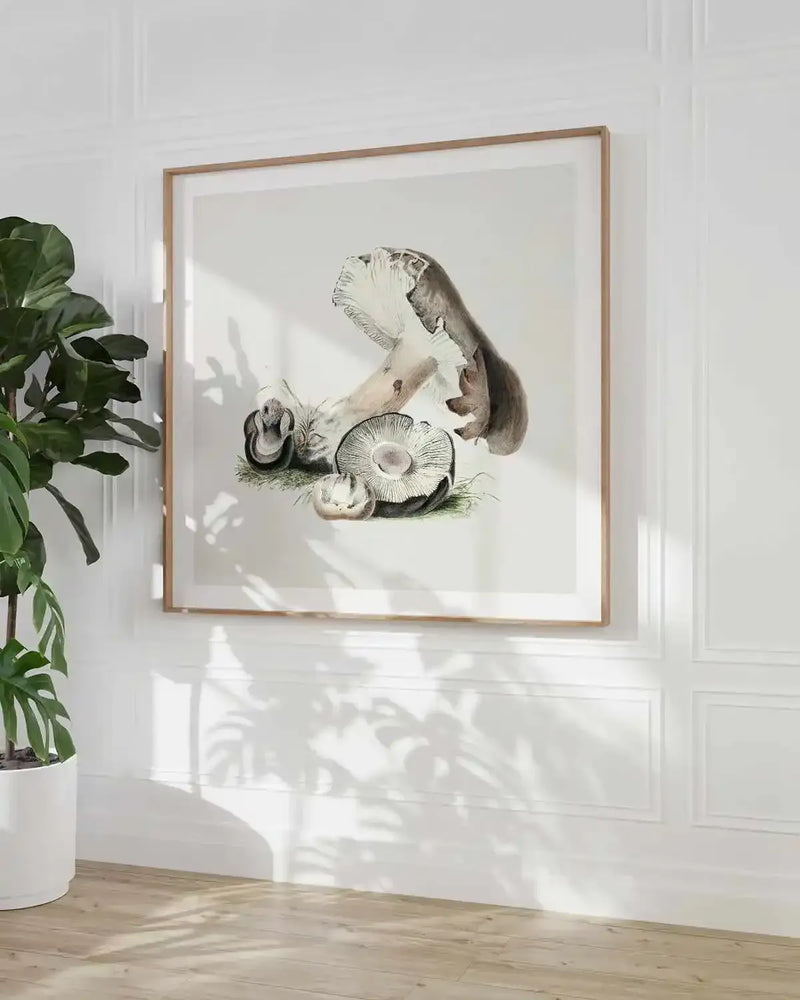 Brown Mushroom Vintage Illustration Art Print from Olive et Oriel where you can shop wallpaper and artworks online
