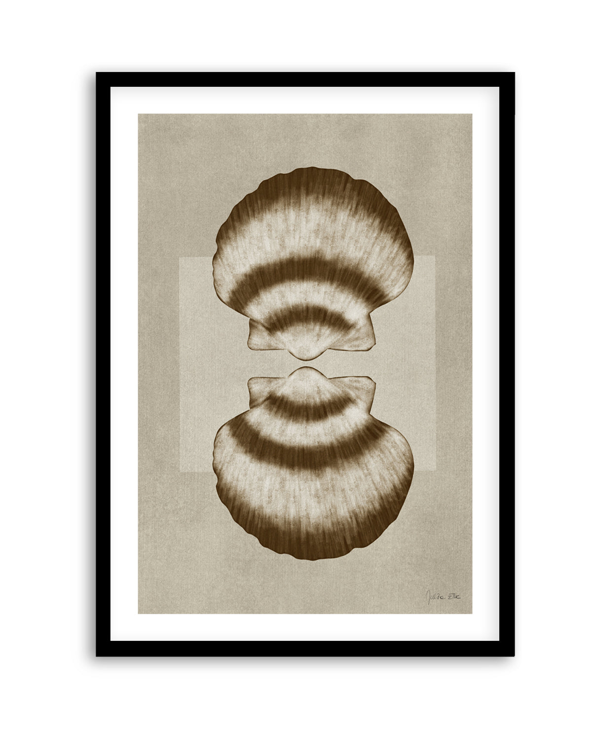 Brown Shells 01 by Julita Elbe | Art Print