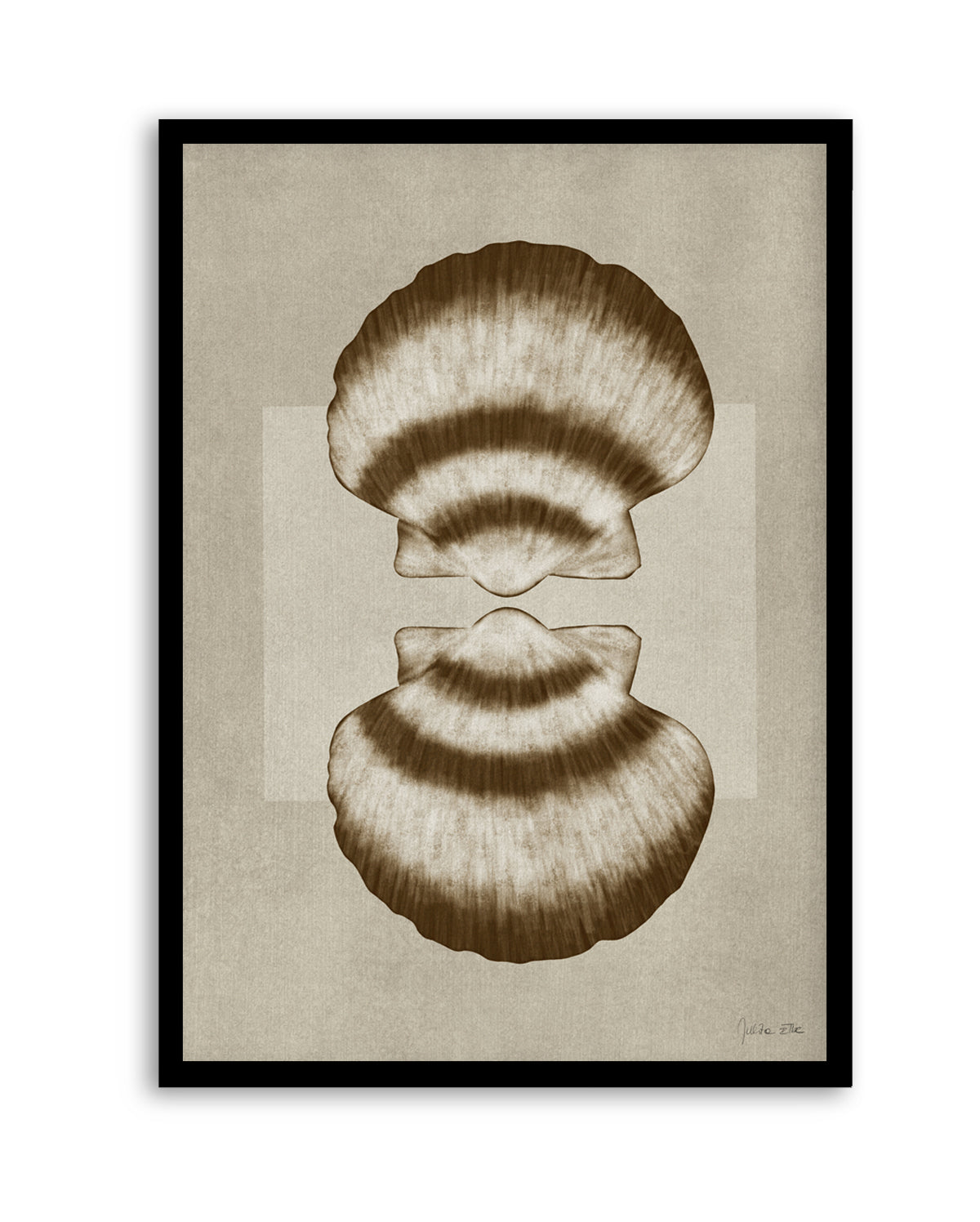 Brown Shells 01 by Julita Elbe | Art Print