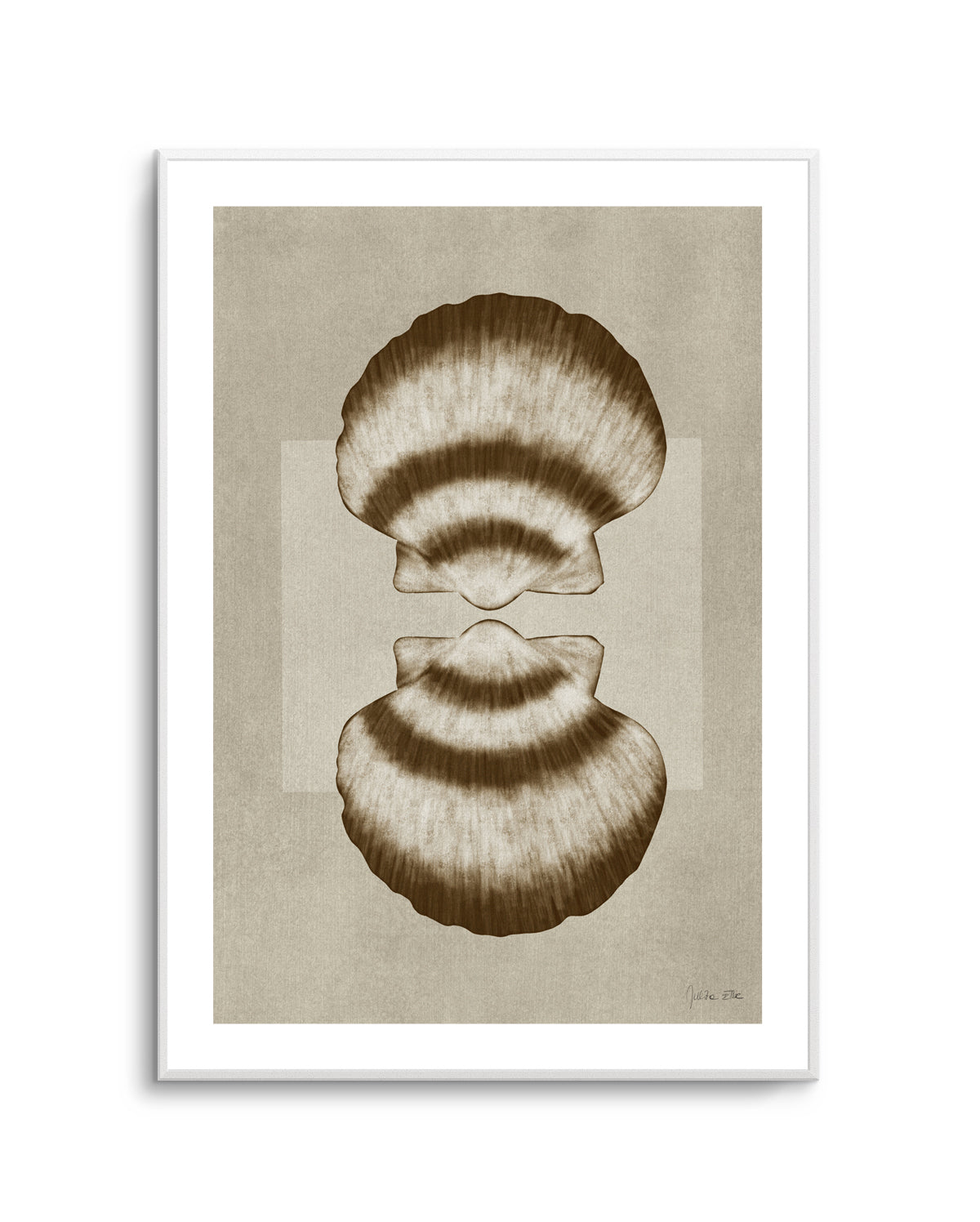 Brown Shells 01 by Julita Elbe | Art Print