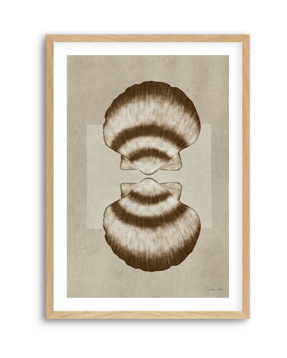 Brown Shells 01 by Julita Elbe | Art Print