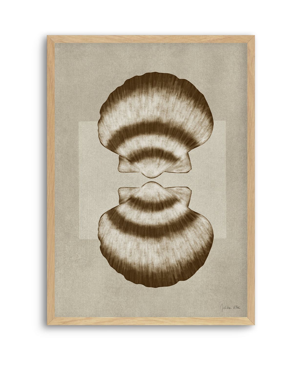 Brown Shells 01 by Julita Elbe | Art Print
