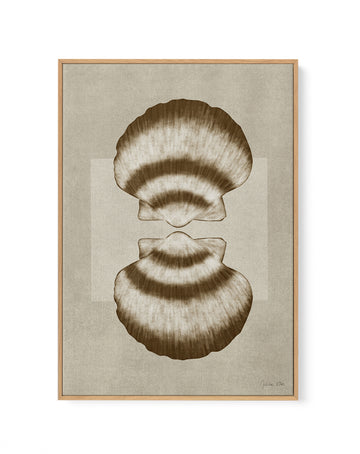 Brown Shells 01 by Julita Elbe | Framed Canvas Wall Art