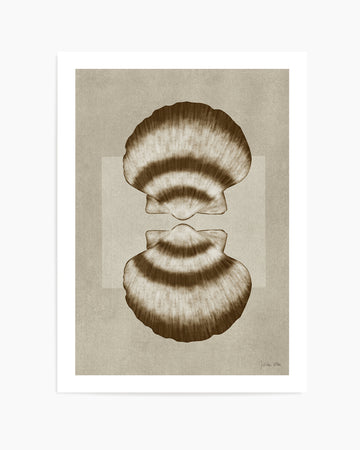 Brown Shells 01 by Julita Elbe | Art Print