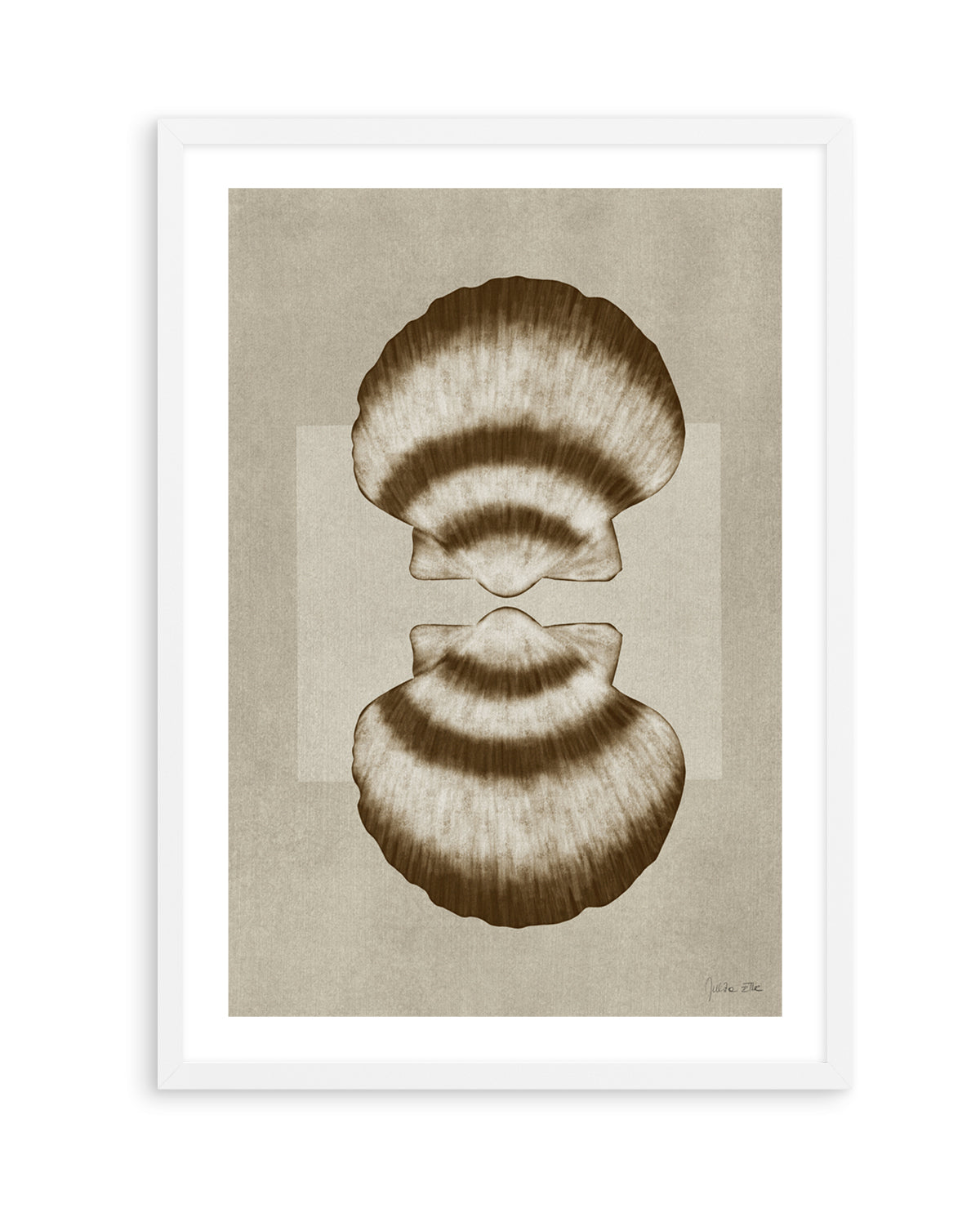 Brown Shells 01 by Julita Elbe | Art Print