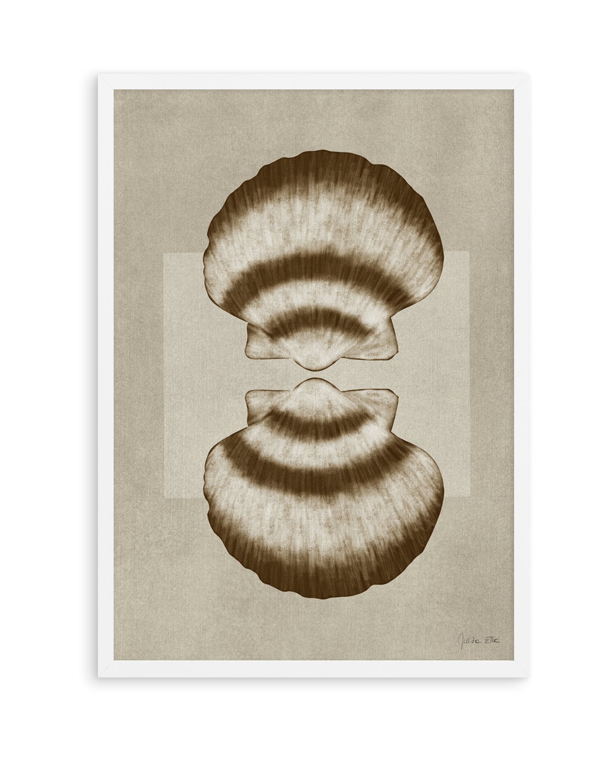 Brown Shells 01 by Julita Elbe | Art Print