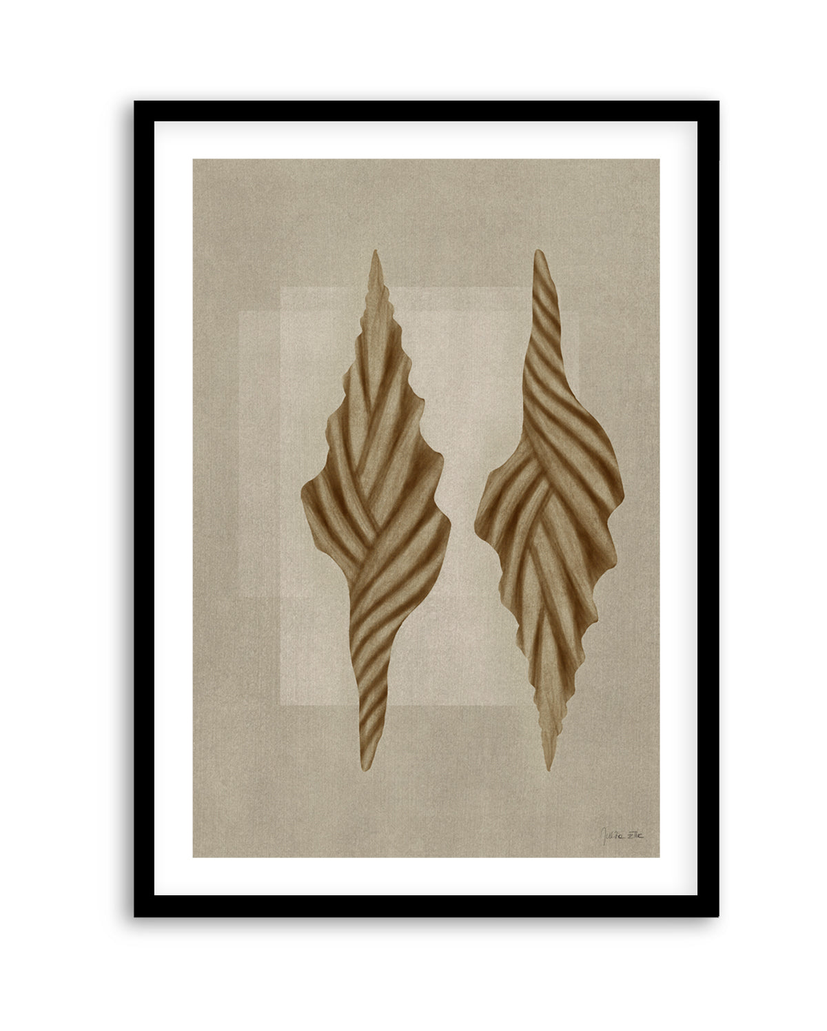 Brown Shells 02 by Julita Elbe | Art Print