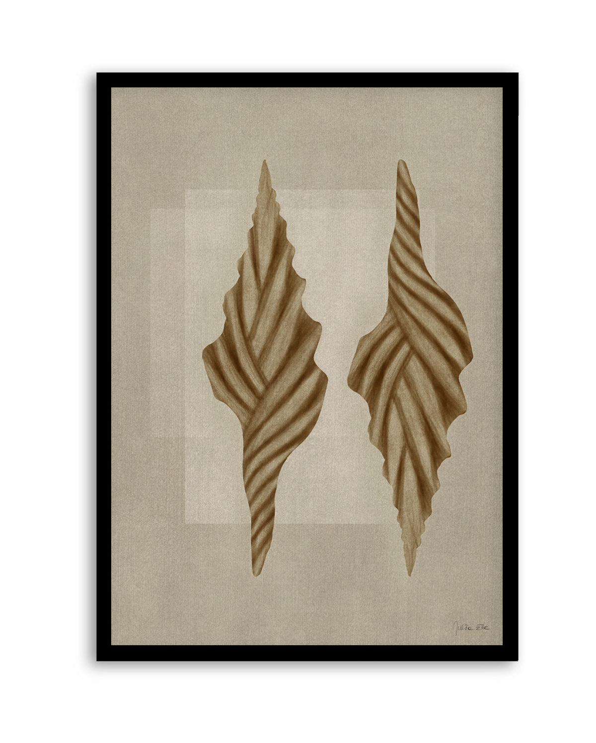 Brown Shells 02 by Julita Elbe | Art Print