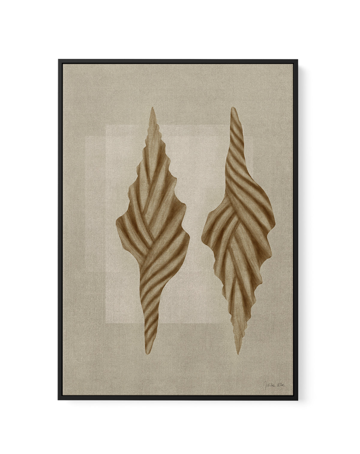 Brown Shells 02 by Julita Elbe | Framed Canvas Art Print