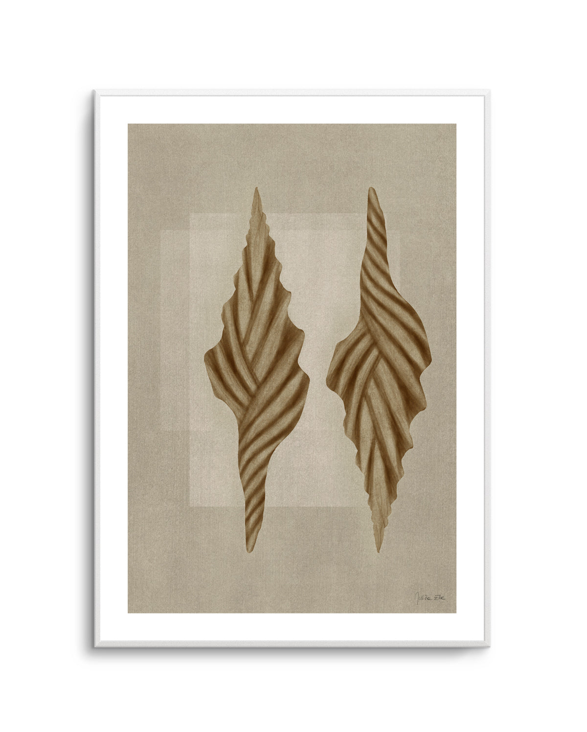 Brown Shells 02 by Julita Elbe | Art Print