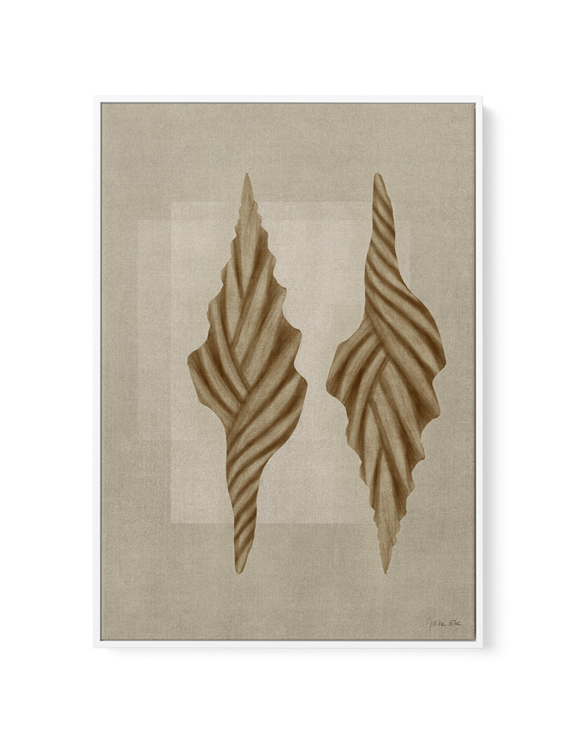 Brown Shells 02 by Julita Elbe | Framed Canvas Art Print