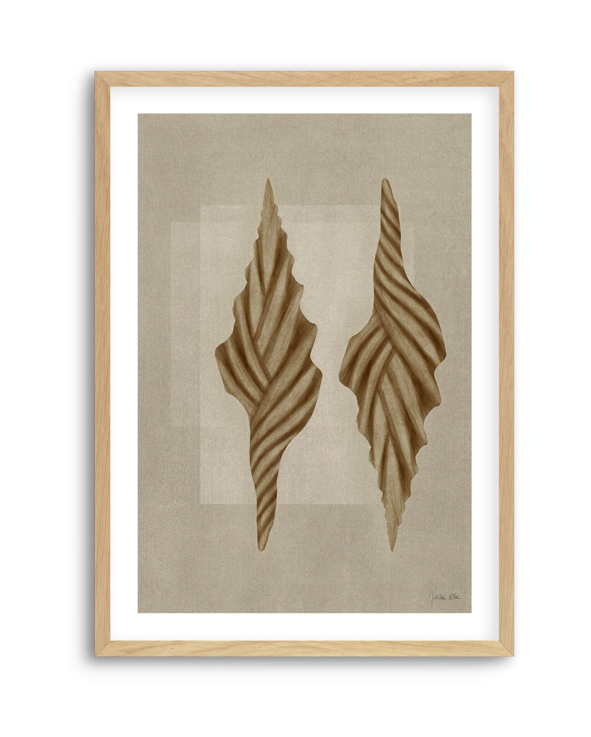 Brown Shells 02 by Julita Elbe | Art Print
