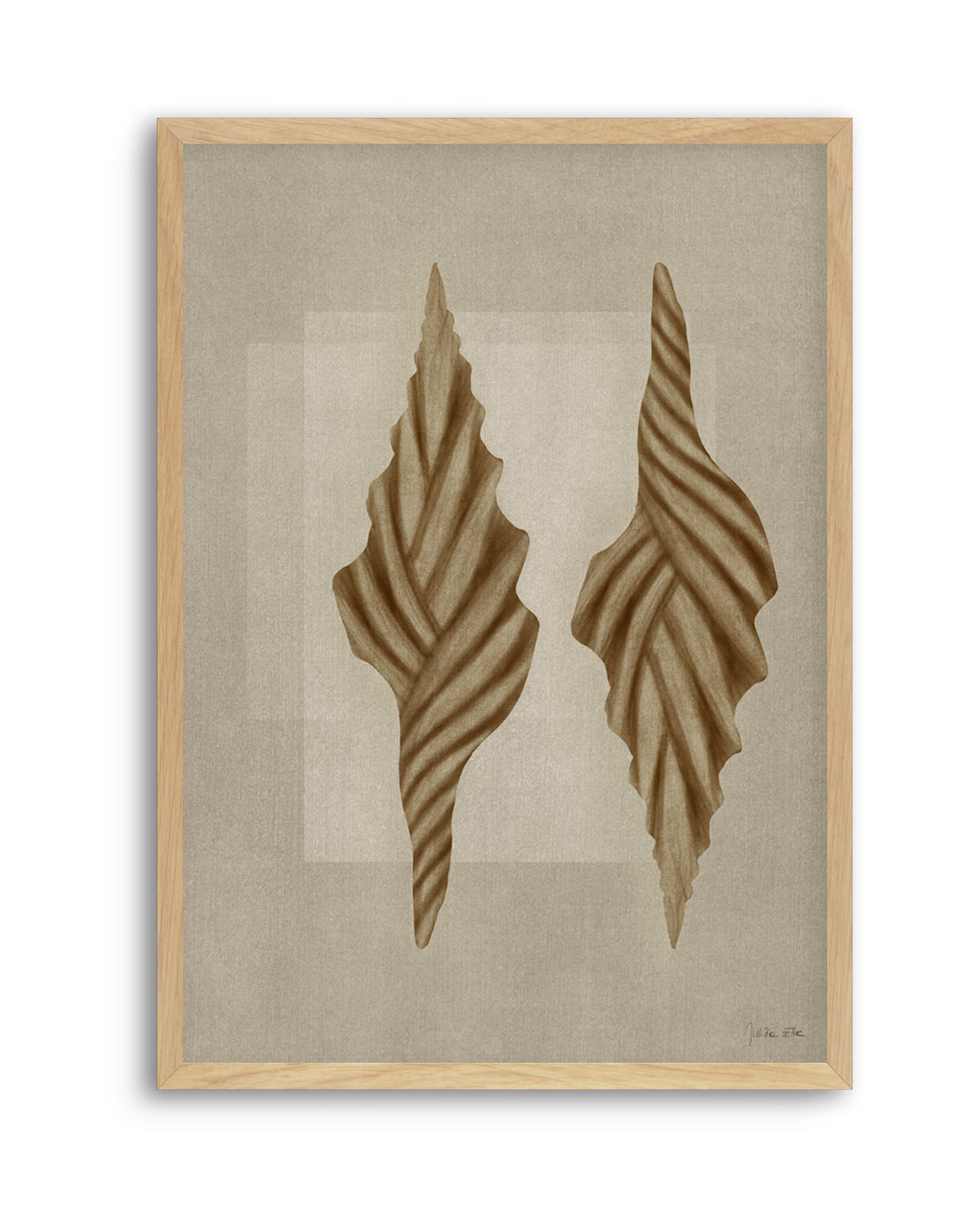Brown Shells 02 by Julita Elbe | Art Print