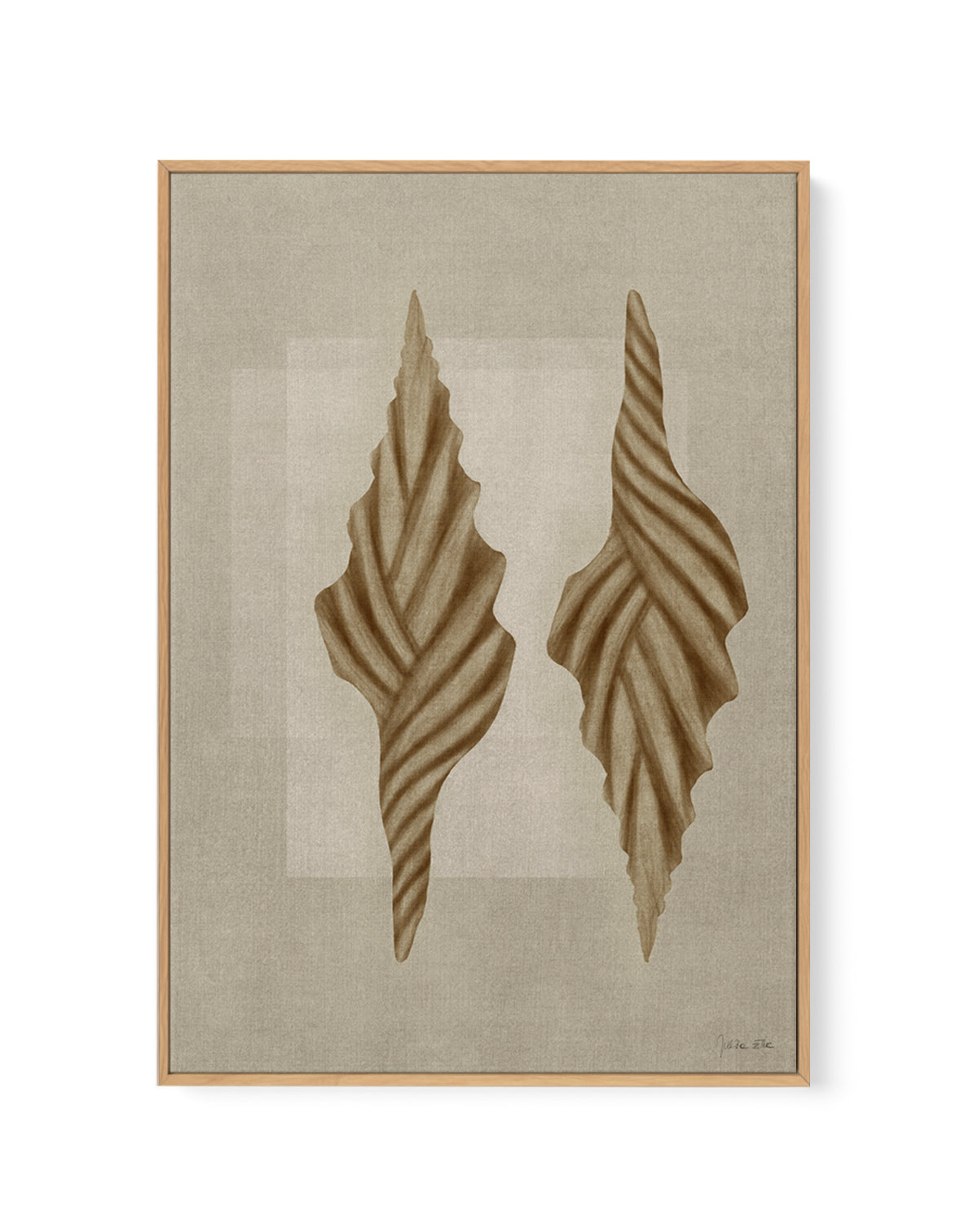 Brown Shells 02 by Julita Elbe | Framed Canvas Art Print