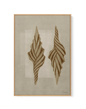 Brown Shells 02 by Julita Elbe | Framed Canvas Wall Art