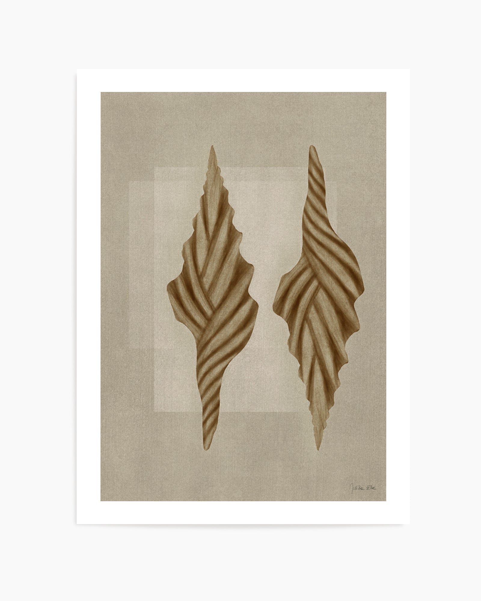 Brown Shells 02 by Julita Elbe | Art Print