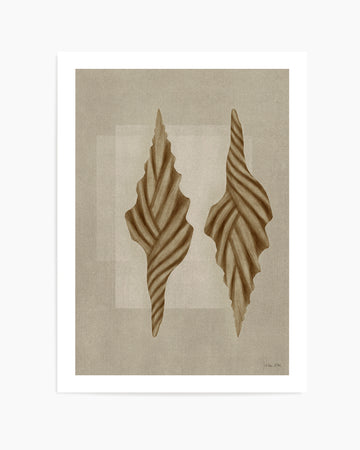 Brown Shells 02 by Julita Elbe | Art Print