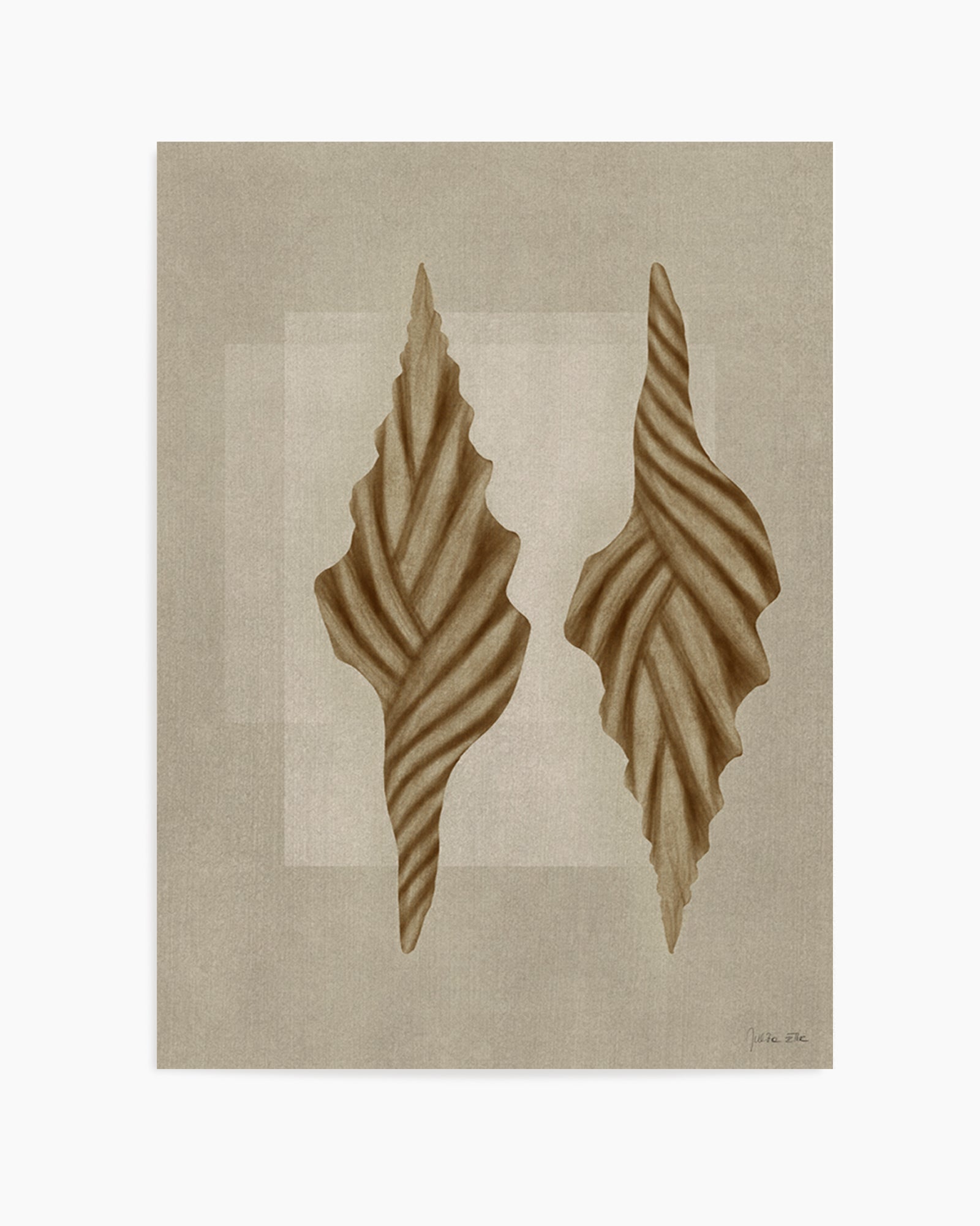 Brown Shells 02 by Julita Elbe | Art Print