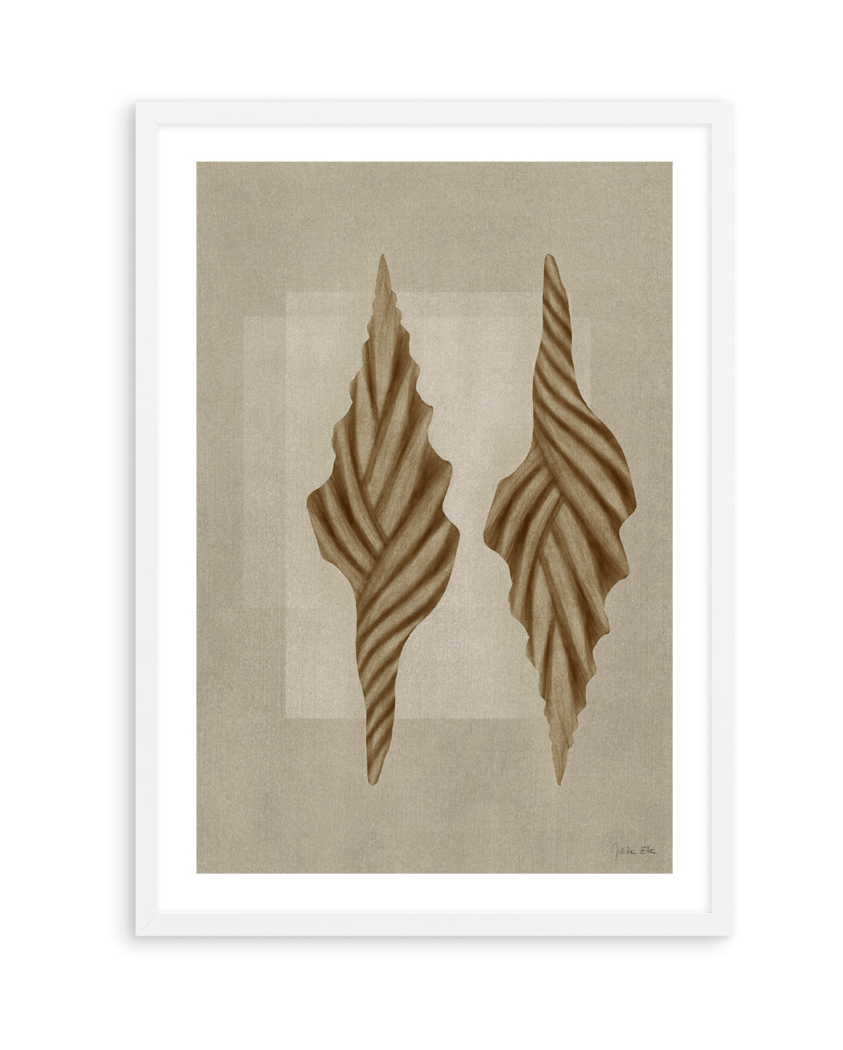 Brown Shells 02 by Julita Elbe | Art Print