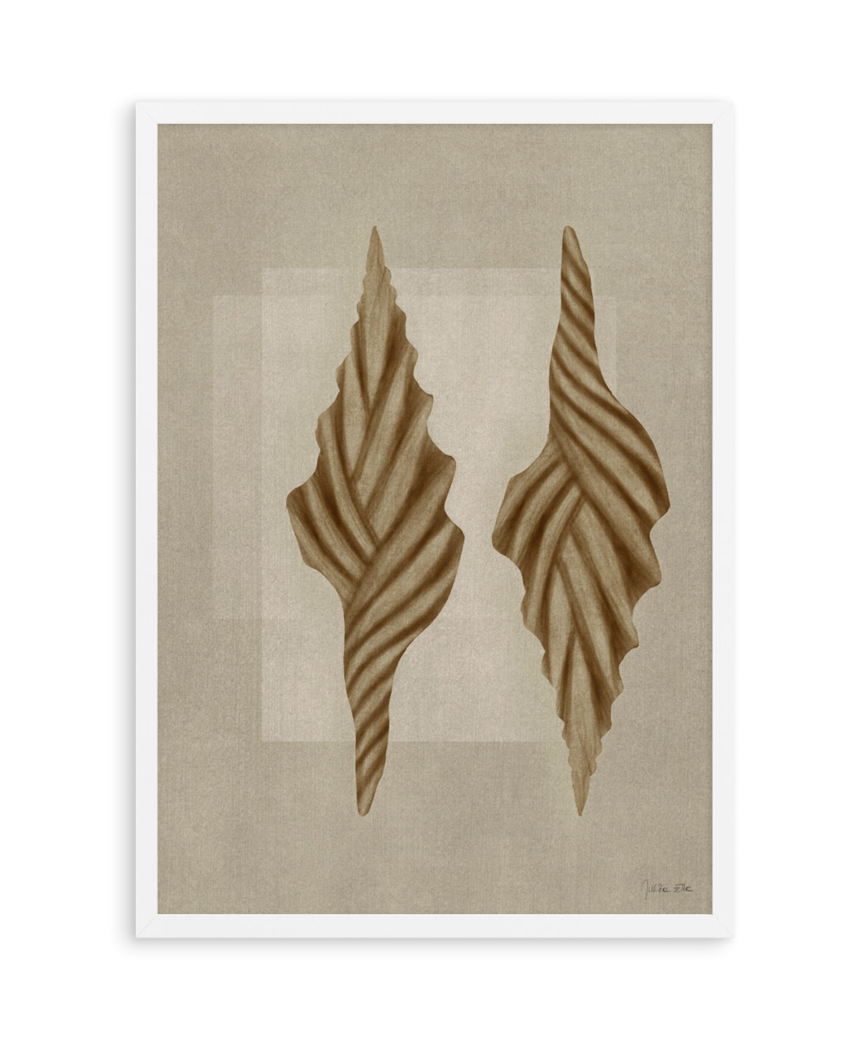 Brown Shells 02 by Julita Elbe | Art Print
